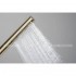 Ручний душ Hansgrohe Pulsify S 100 EcoSmart Brushed Bronze (24125140)